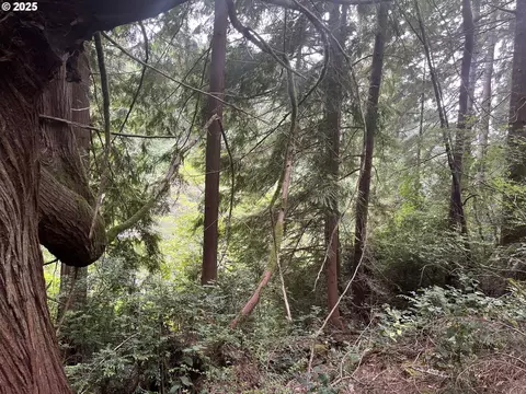 Collard Loop, Florence, OR 97439 photo 14