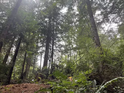 Collard Loop, Florence, OR 97439 photo 17