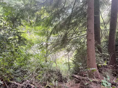 Collard Loop, Florence, OR 97439 photo 16