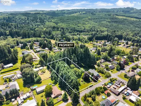 0 9th St, Vader, WA 98593 photo 2