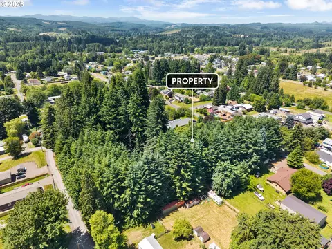 0 9th St, Vader, WA 98593 photo 8