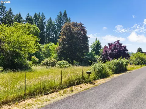 0 9th St, Vader, WA 98593 photo 5
