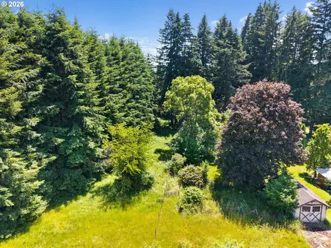 0 9th St, Vader, WA 98593 photo 3