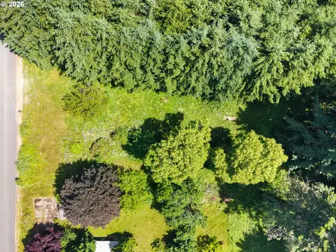 0 9th St, Vader, WA 98593 photo 9