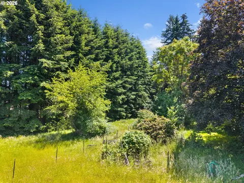 0 9th St, Vader, WA 98593 photo 4
