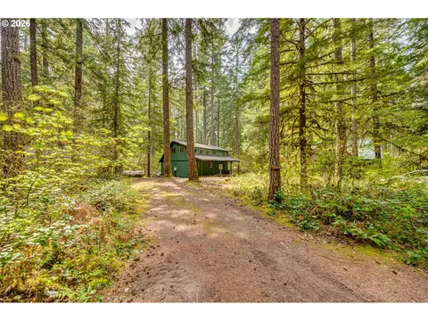 147 Northwoods Cabin, Cougar, WA 98616