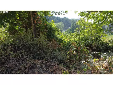 Other - Church St, Dillard, OR 97432 photo 9 of 13