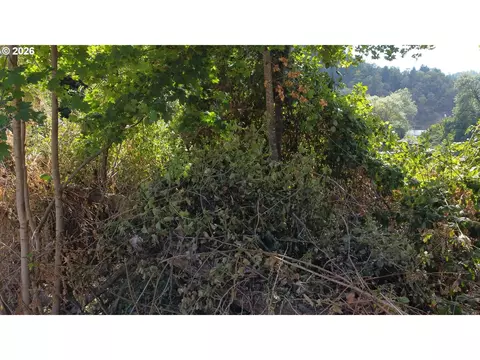 Other - Church St, Dillard, OR 97432 photo 8 of 13