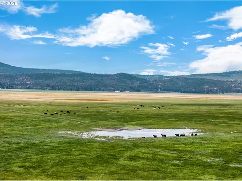 Mitchell Rd, Dairy, OR 97625 photo 10
