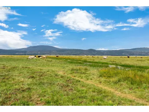 Mitchell Rd, Dairy, OR 97625 photo 37