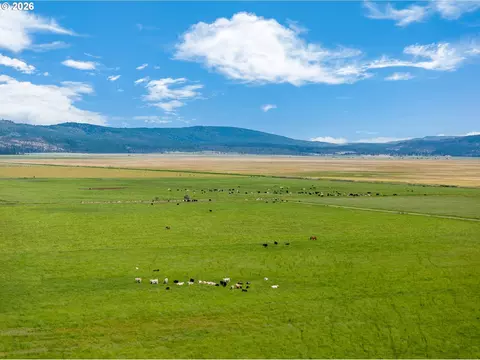 Mitchell Rd, Dairy, OR 97625 photo 6