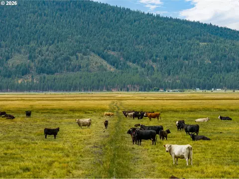 Mitchell Rd, Dairy, OR 97625 photo 14