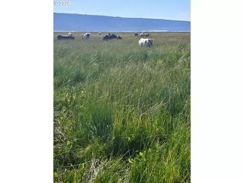 Mitchell Rd, Dairy, OR 97625 photo 23