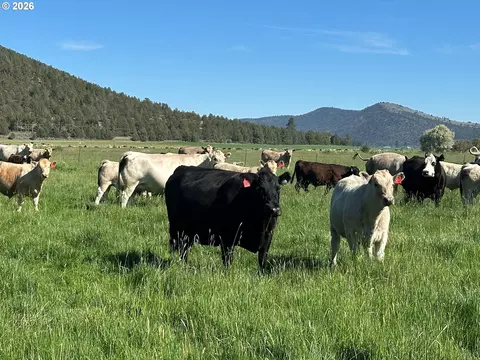 Mitchell Rd, Dairy, OR 97625 photo 2