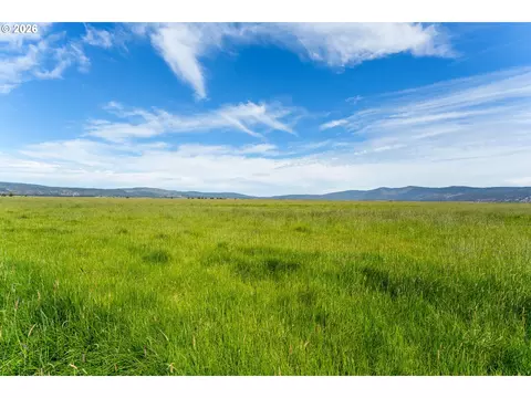 Mitchell Rd, Dairy, OR 97625 photo 33