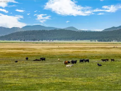 Mitchell Rd, Dairy, OR 97625 photo 13