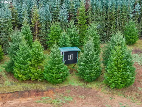 Other - 43815 SE Herrick Rd, Sandy, OR 97055 photo 10 of 12
