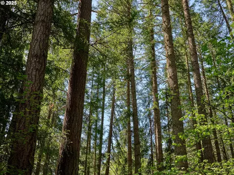 Other - 23456 S Schieffer Rd, Colton, OR 97017 photo 1 of 11