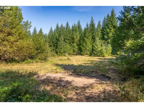 hawk meadows rd, Carson, WA 98610 photo 15