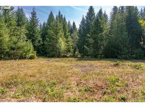 hawk meadows rd, Carson, WA 98610 photo 5