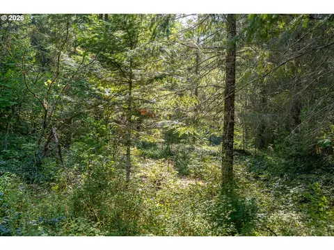 hawk meadows rd, Carson, WA 98610 photo 8