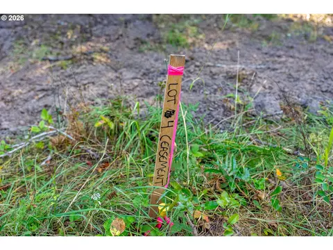 hawk meadows rd, Carson, WA 98610 photo 11
