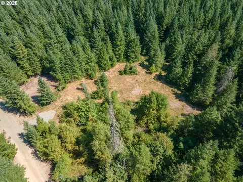 hawk meadows rd, Carson, WA 98610 photo 26
