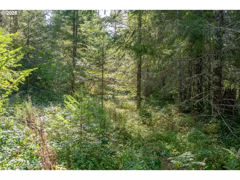 hawk meadows rd, Carson, WA 98610 photo 7