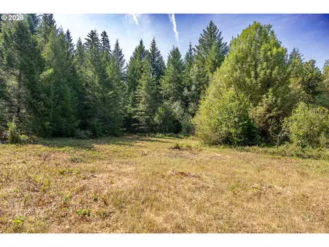 hawk meadows rd, Carson, WA 98610 photo 6