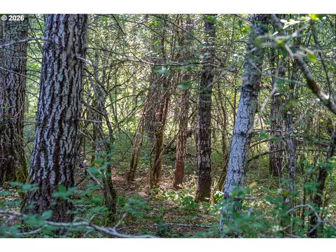 hawk meadows rd, Carson, WA 98610 photo 18