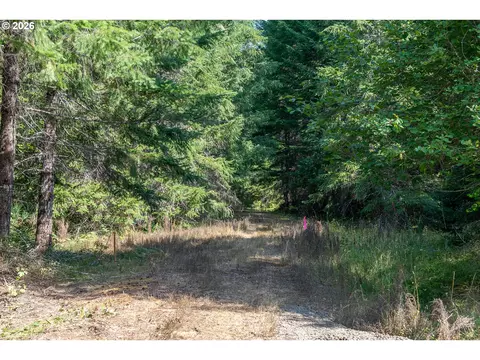 hawk meadows rd, Carson, WA 98610 photo 38
