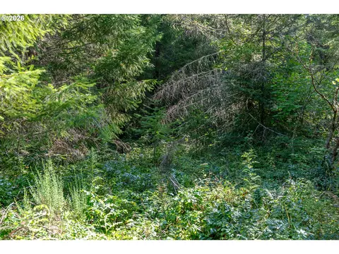 hawk meadows rd, Carson, WA 98610 photo 9