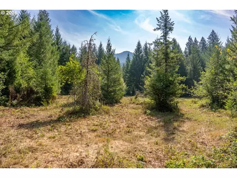 hawk meadows rd, Carson, WA 98610 photo 4