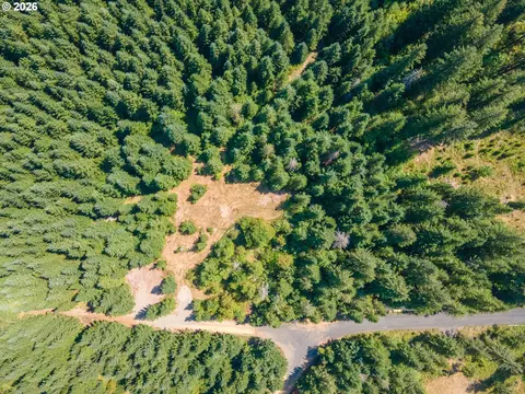 hawk meadows rd, Carson, WA 98610 photo 25