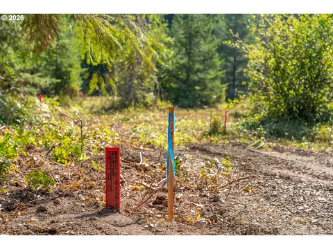 hawk meadows rd, Carson, WA 98610 photo 14