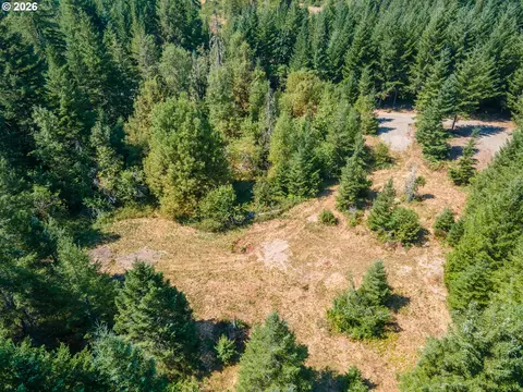 hawk meadows rd, Carson, WA 98610 photo 28