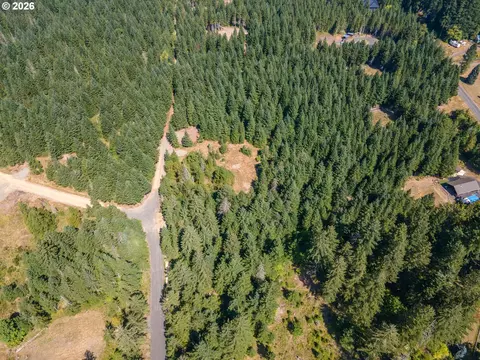 hawk meadows rd, Carson, WA 98610 photo 22
