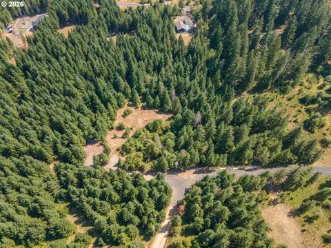 hawk meadows rd, Carson, WA 98610 photo 21