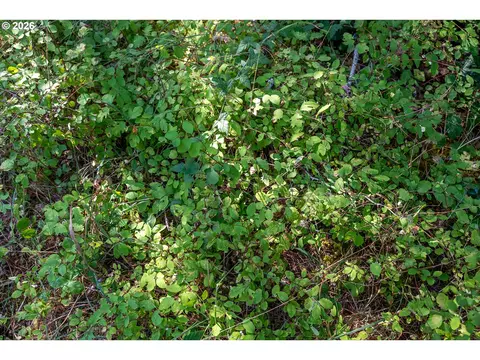 hawk meadows rd, Carson, WA 98610 photo 13