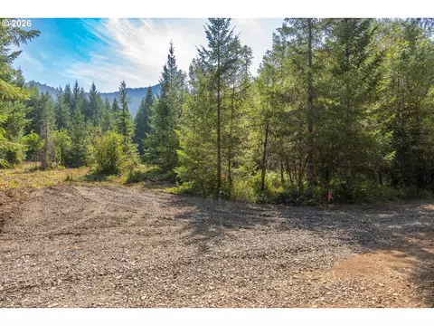 hawk meadows rd, Carson, WA 98610 photo 3