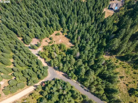 hawk meadows rd, Carson, WA 98610 photo 20