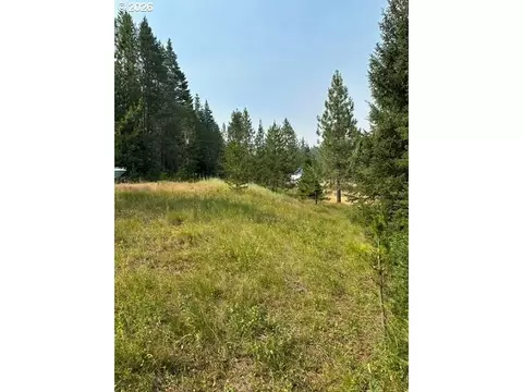 Kamela Loop, Meacham, OR 97859 photo 6