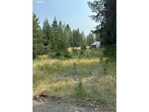 Kamela Loop, Meacham, OR 97859 photo 4