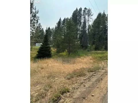 Kamela Loop, Meacham, OR 97859 photo 2