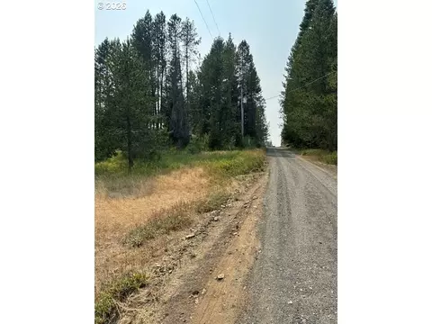 Kamela Loop, Meacham, OR 97859 photo 3