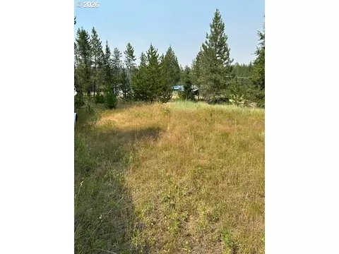 Kamela Loop, Meacham, OR 97859 photo 7