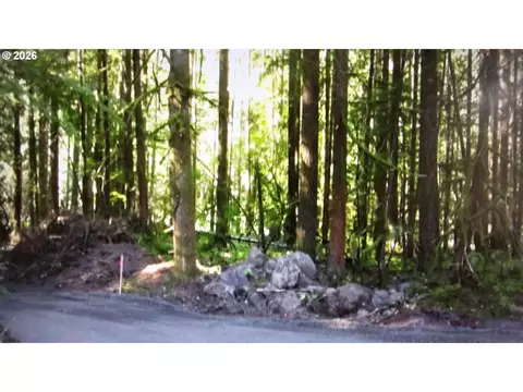 E John Lake Rd, Rhododendron, OR 97049