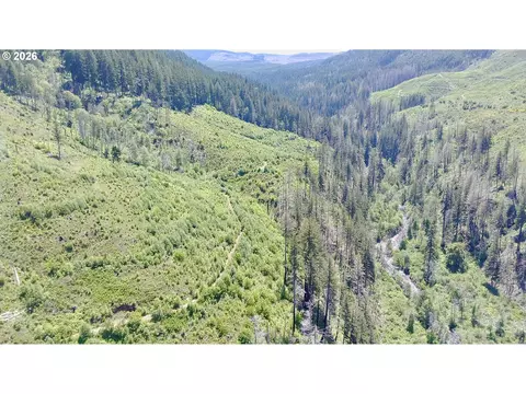 Crooked Finger Rd., Scotts Mills, OR 97375