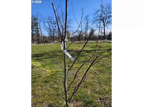 80165 Ridgetop Rd, Dufur, OR 97021 photo 38