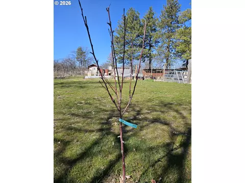 80165 Ridgetop Rd, Dufur, OR 97021 photo 39